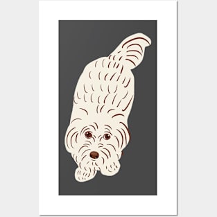 Maltipoo Cute Face Posters and Art